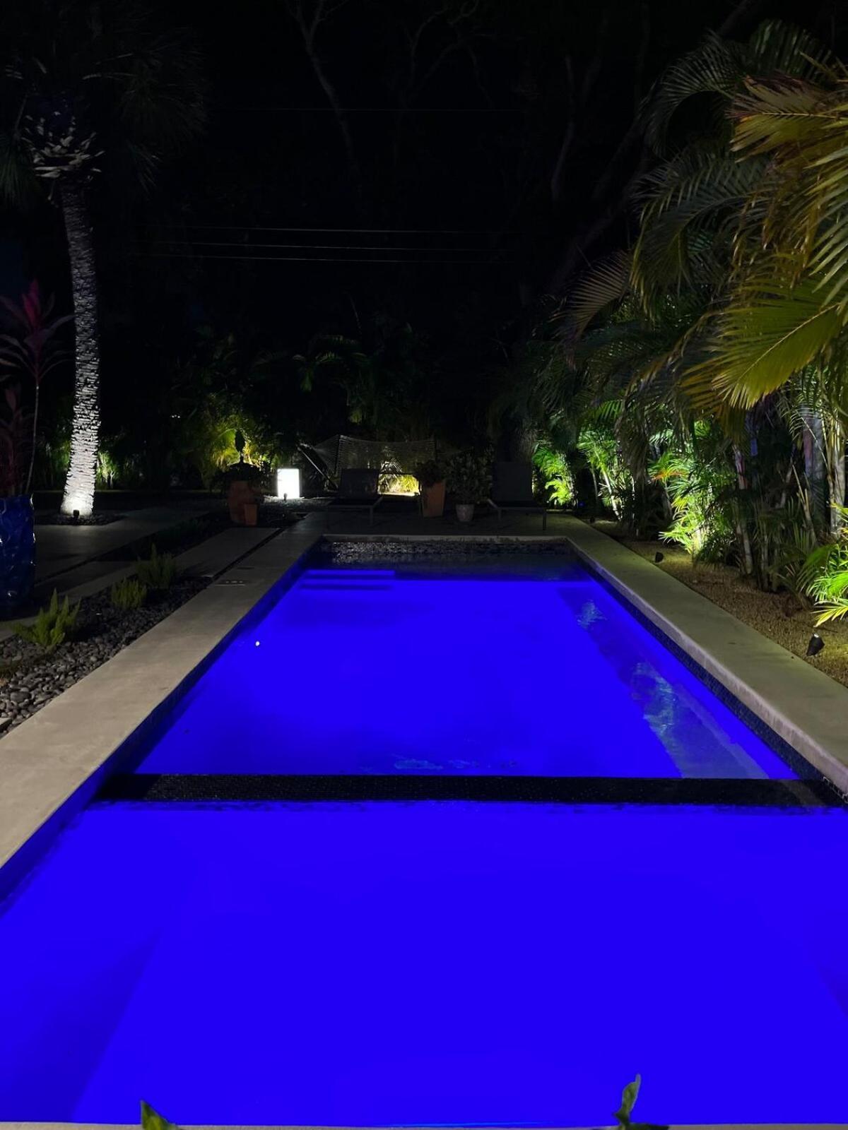 Willa Hiddengem In Charming Sarasota, Florida Zewnętrze zdjęcie